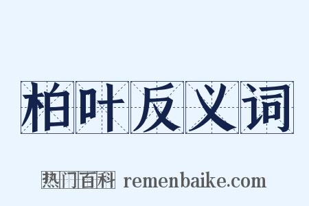 柏叶反义词是什么意思的图片